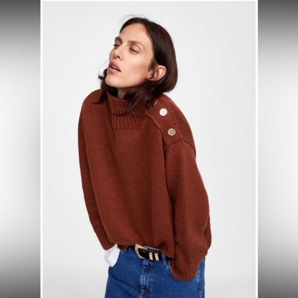 Zara Brown Turtleneck Sweater